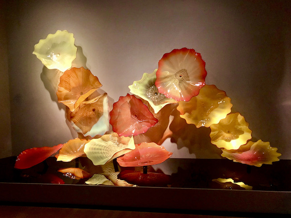 Orange and soft yellow blown glass bowls look like flowers against a wall at the OKC Museum of Art Dale Chihuly Exhibit