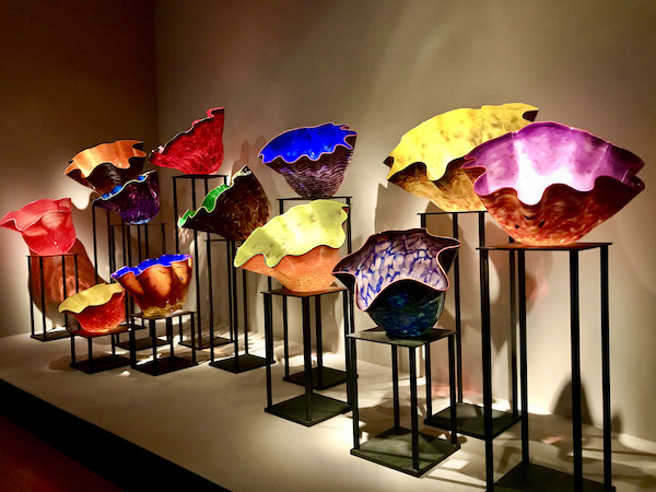 Glass flowers in many colors at various heights at the OKC Museum of Art Dale Chihuly Exhibit