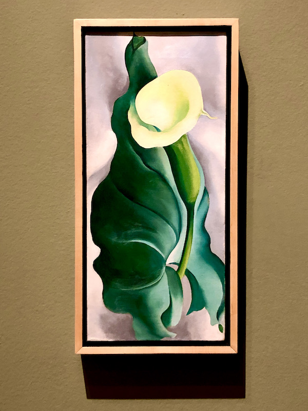An oblong oil painting of a Calla lily at the Oklahoma City Museum of Art