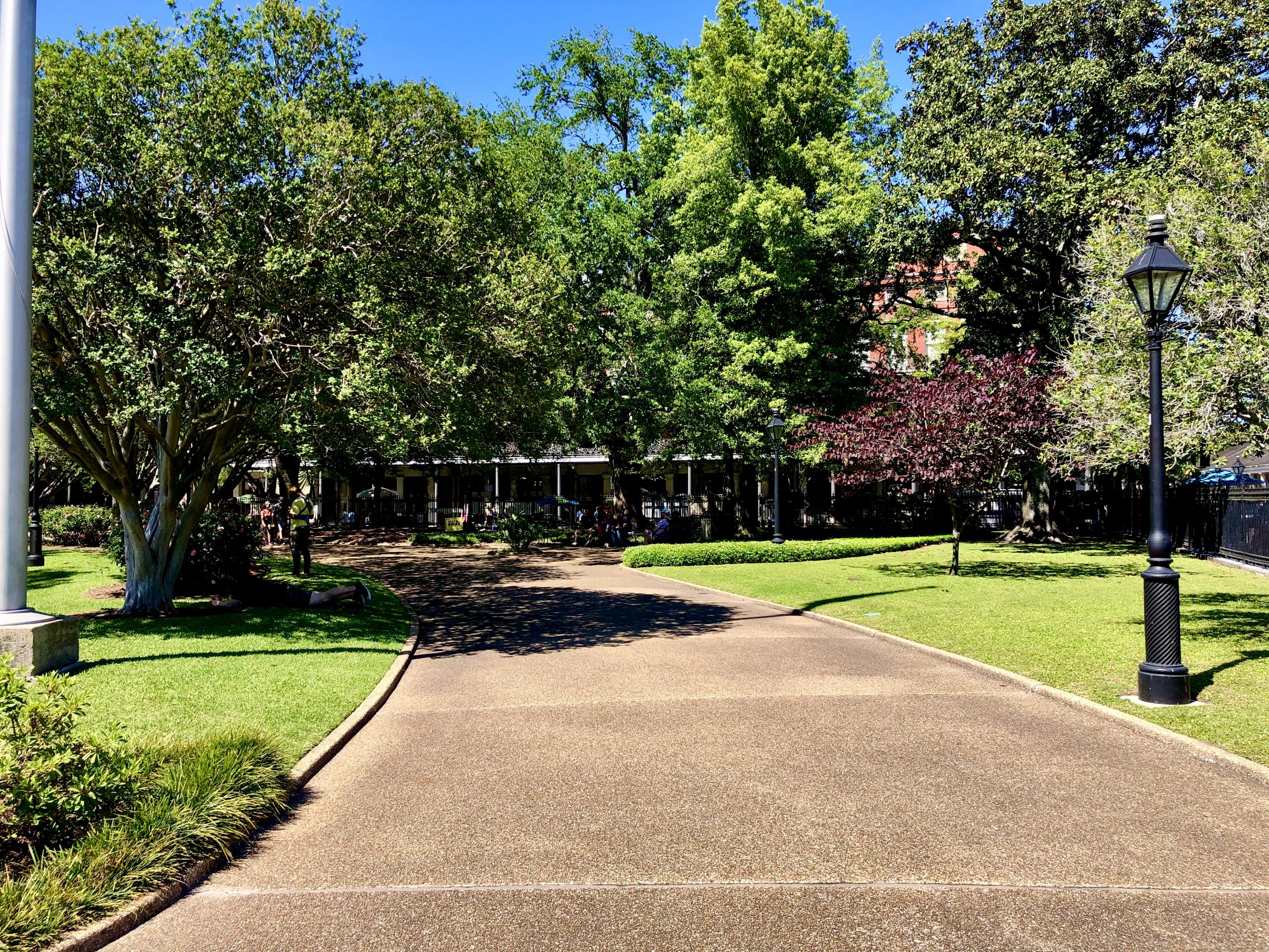A beautiful park with trees and lawn along a path visited while Back in NOLA for a Month 