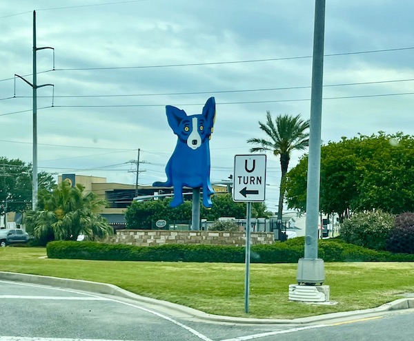 A large blue dog sculpture on the median of a street seen while Back in NOLA for a Month