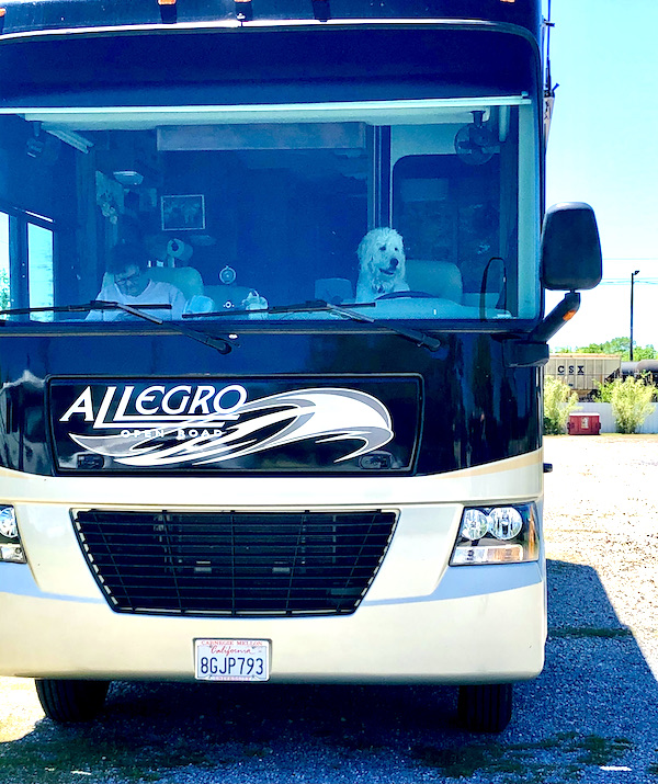 The front of a black and white RV. Seen through the windshield is a passenger and a white dog who appears to be driving..