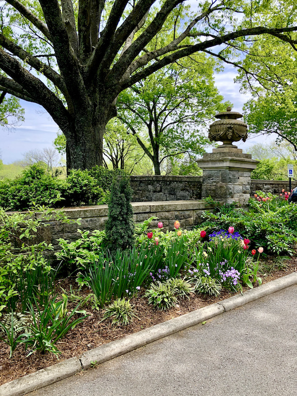 A path lined with tulips and other plants at Cheekwood Estate Nashville TN