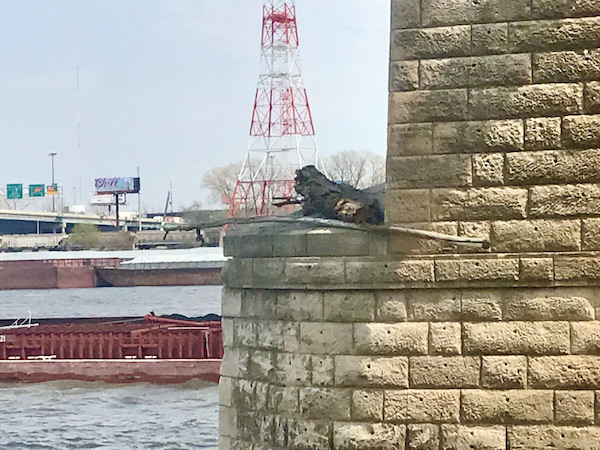 Stone bridge support with a tree trunk and brand lying on a ledge from river flooding.