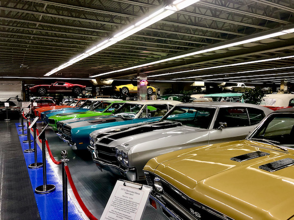 A row of classic Chevys in different colors.