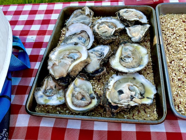 Sitting on a red checked tablecloth a sheet pan filled with dry rice and topped with fresh oysters on the half shell.