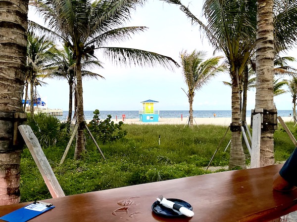 Tables and coconut palms with the view of the beach, life guard