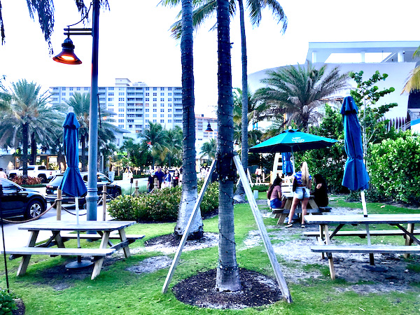 A lawn with picnic tables, blue umbrellas and tall palm trees.