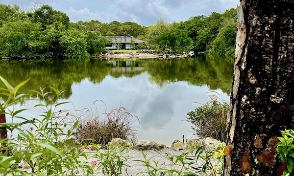 A pond surrounded by greenery and a Japanese style home in the distance at Morikami Museum and Japanese Gardens