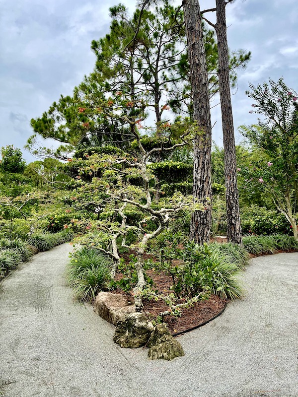 Simplicity of Japanese Gardens at their best.