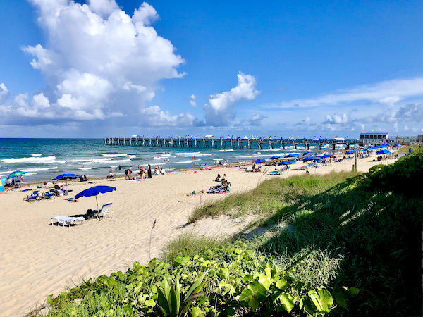 Sea Grapes, beach, ocean and pier across from Viva La Playa at Lake Worth Beach