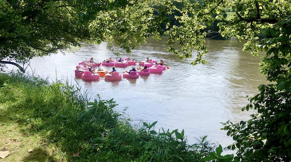 A river in Art Mecca Asheville North Carolina with green plants on each side and a group of people floating in hot pink rafts.