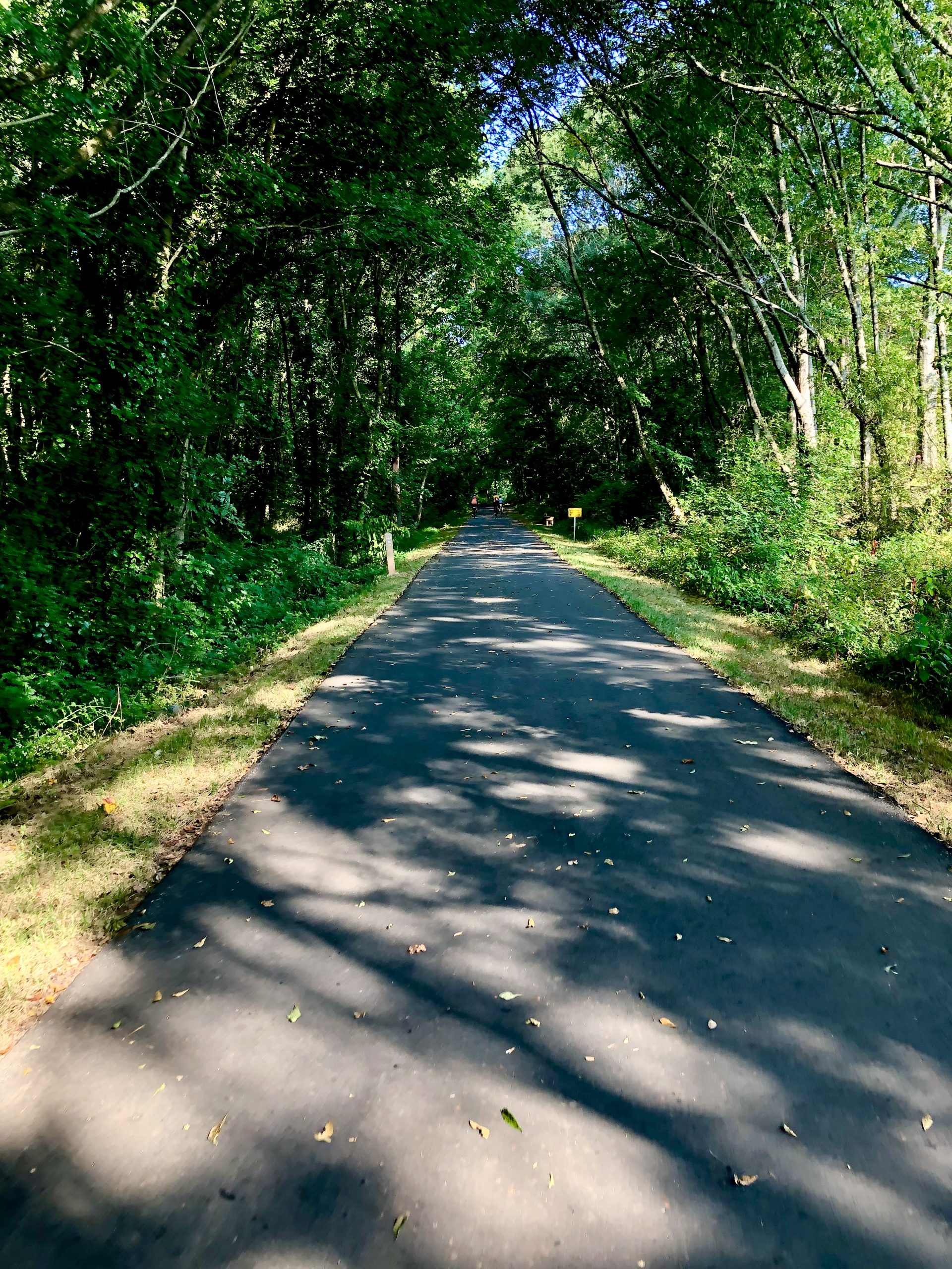 A paved trail though the woods for bikers and hikers in Beautiful Greenville South Carolina