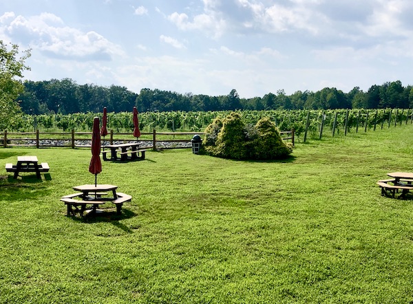 Lush lawn with picnic tables and rows of grapevines in Louisa VA Small Town Big Impact