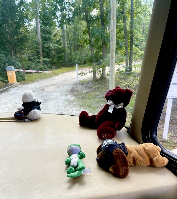 Four stuffed animals on an RV dash with forest through the windshield.