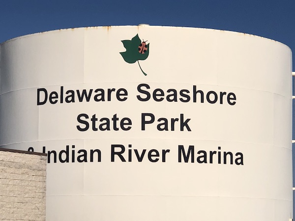 A huge water tower with black letters Delaware Seashore State Park, a large green leaf with a red and black ladybug.