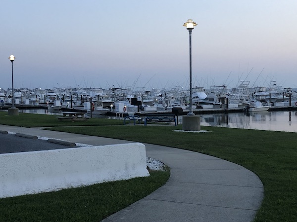 A large marina filled with boats while Revisiting Delaware Seashore State Park