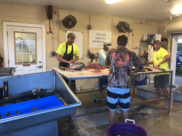 Fishermen and fishmongers cleaning fish while Revisiting Delaware Seashore State Park