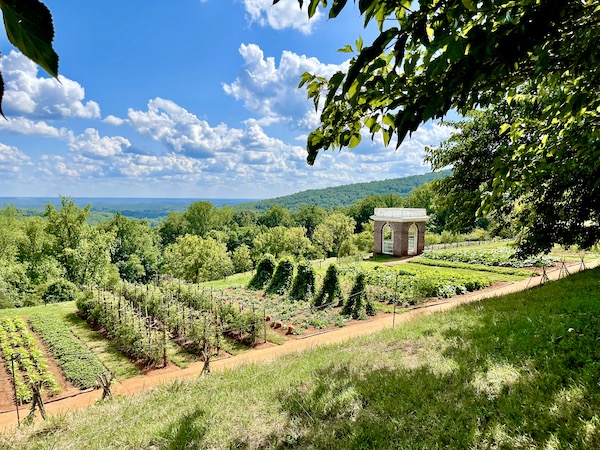 Rows of herbs and vegetables, beautiful landscape and blue skies with white puffy clouds.