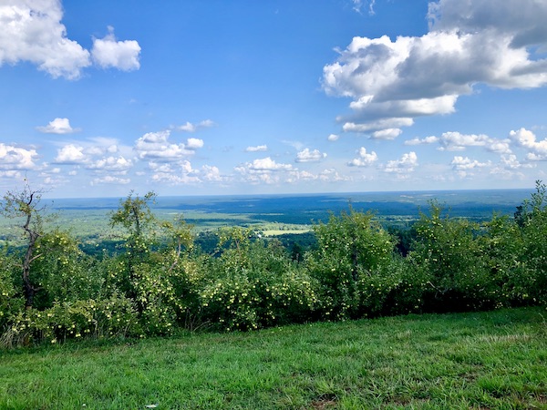 The top of a mountain with apple trees and valley vista.