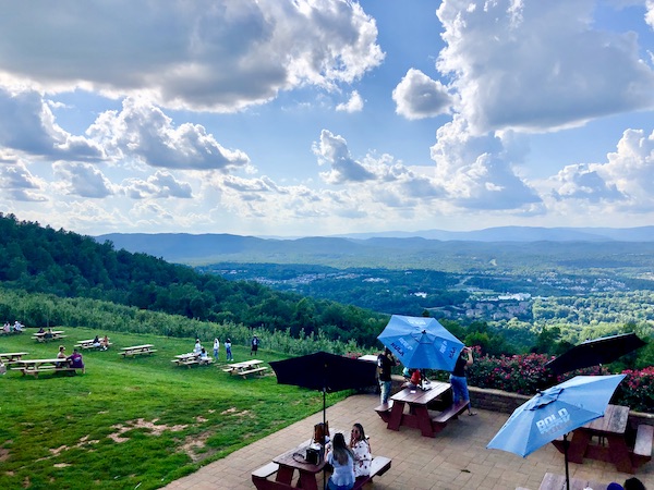 A picnic area with lawn, trees, picnic tables with blue umbrellas and valley vista