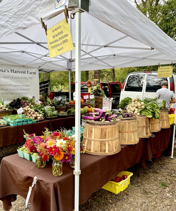 A table with large baskets displaying fresh produce. A couple of short glass vases hot brightly colored flowers.