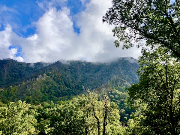 Mountains seen through trees.