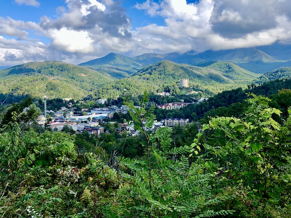 Trees, mountains and a village below with hotels.