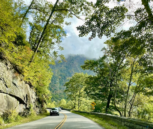 Paved road through trees and mountains so high the peaks are in the clouds.