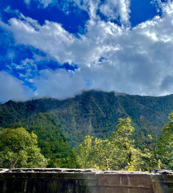 Tree, mountain, white fluffy clouds and deep blue sky at Great Smoky Mountains National Park