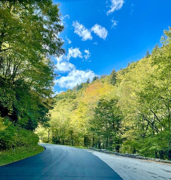 A paved road through mountain foliage.