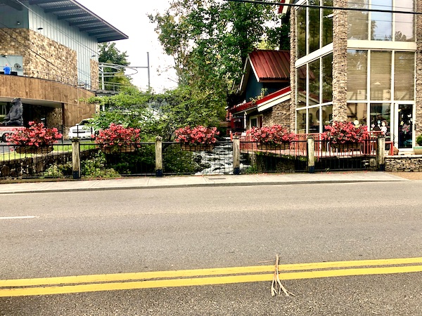 Stone and glass buildings with pink flowering plans, separated by a creek near Great Smoky Mountains National Park