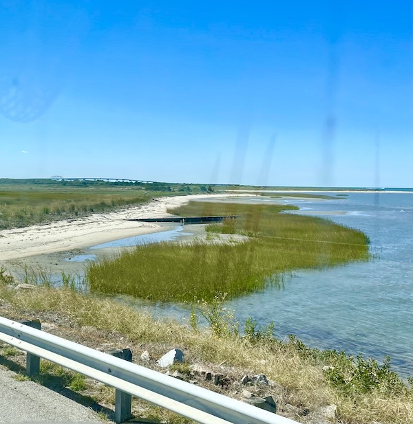A highway with water view and marshy areas.