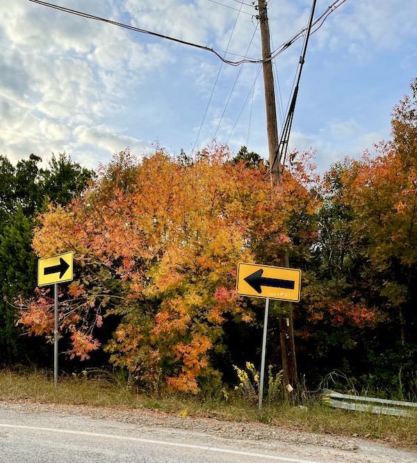 Trees in their glorious fall colors of yellow, orange and red.