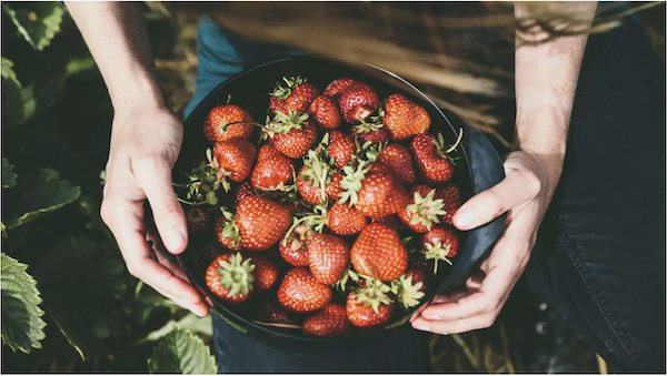 A pair of woman's hands holding a black bowl filled with fresh strawberries. From Keeping An Open Mind Will Improve Your Relationship With Food