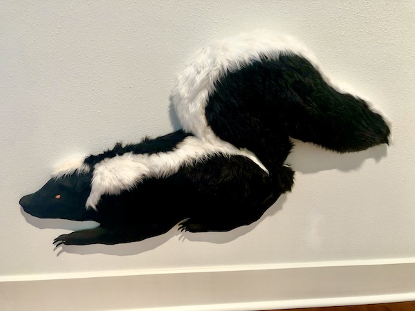 A fuzzy 3-D black and white skunk in a frame at a gallery in Wonderful Galveston Island Texas