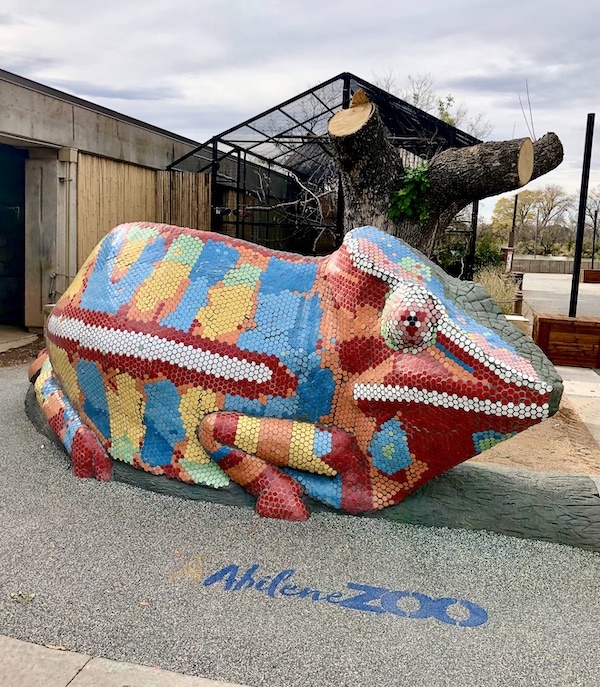 A colorful mosaic Sculpture of a frog seen during our Fun Day at Abilene Zoo
