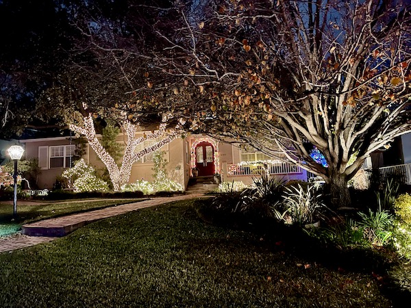 A house with trees all decorated for Christmas
