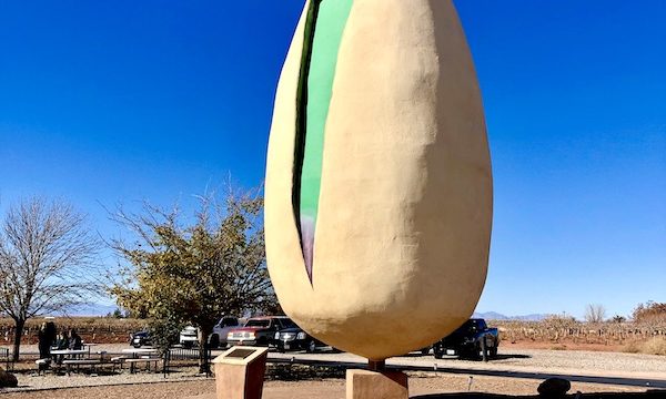 An enormous pistachio nut sculpture in a park like setting is World's Largest Pistachio Alamogordo NM