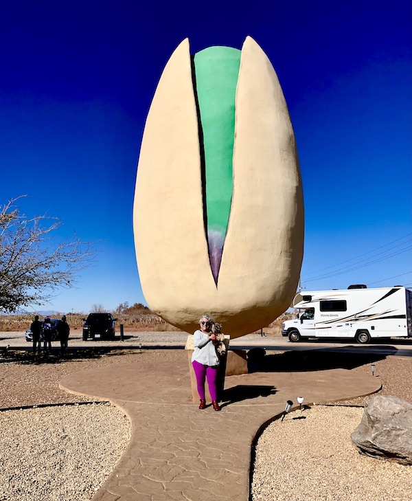A woman holding a black and gold Yorkie in front of the World's Largest Pistachio Alamogordo NM