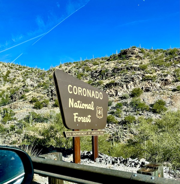 A brown sign along the road by a mountain and cactus on our way up Mount Lemmon Tucson AZ