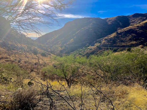 Sunbeams through tree branches, mountains and greenery line our drive up Mount Lemmon Tucson AZ