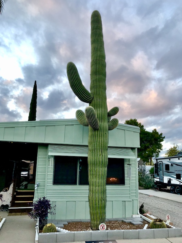 A light green manufactured home with a large cactus in front and a stormy sky seen on our return from visiting Tohono Chul Park Tucson AZ