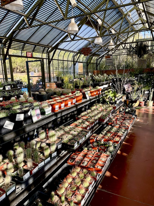 A multilevel display of plants for sale at Tohono Chul Park Tucson AZ