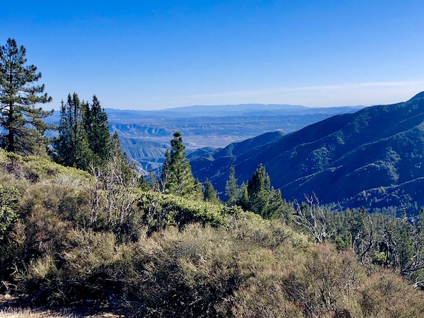 Mountain ranges and trees on our route to Lake Arrowhead California