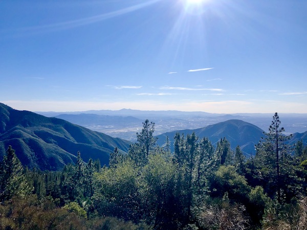 Trees and mountains with sun rays at the top of photo.