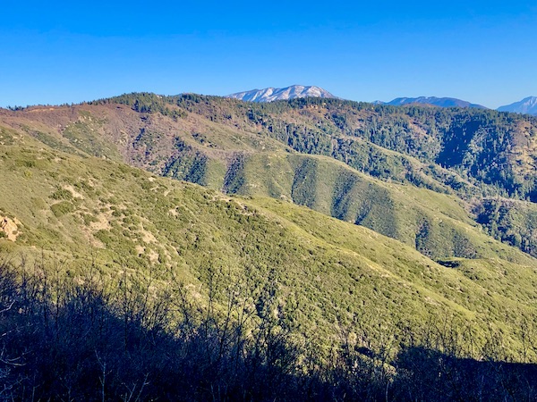 Several mountain ridges covered with greenery and a snow capped mountaintop in the distance near Lake Arrowhead California