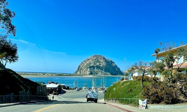 A hilly street lined with trees and homes leading to Morro Bay California