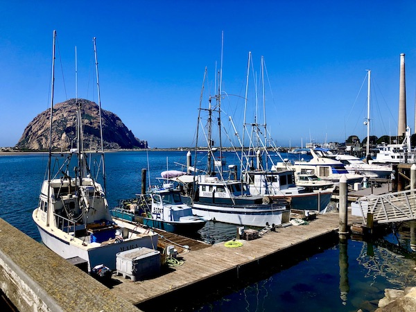A marina in Morro Bay California with lots of fishing boats docked.