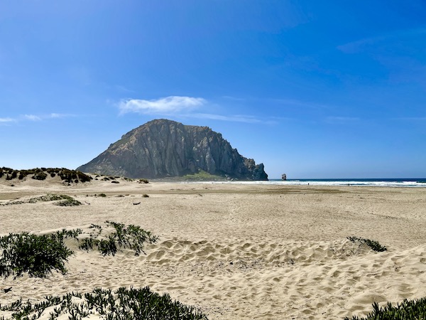 Beach with some seaweed and blue sky with a huge rounded rock formation on the horizon in Morro Bay California
